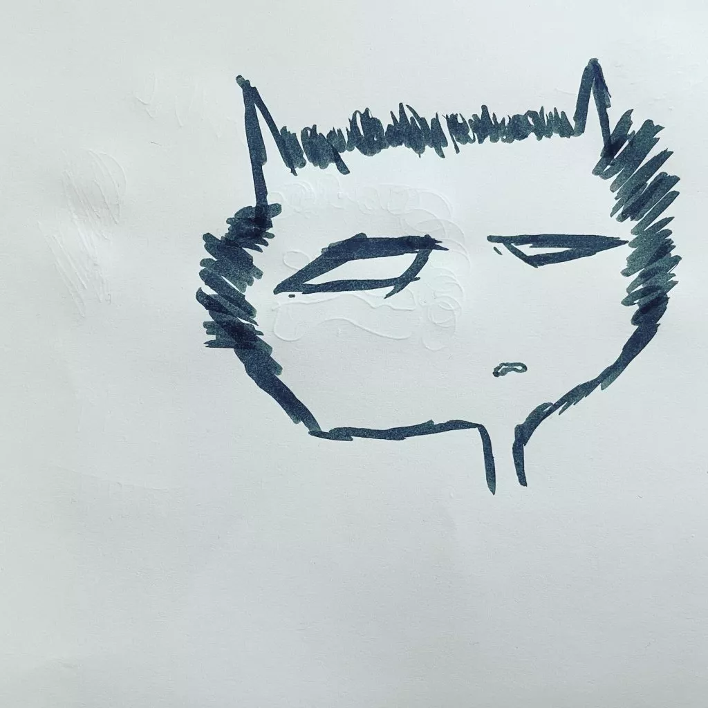 gato
